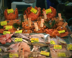 fishmarket1